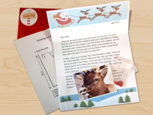 Rudolph has his nose covered in icing